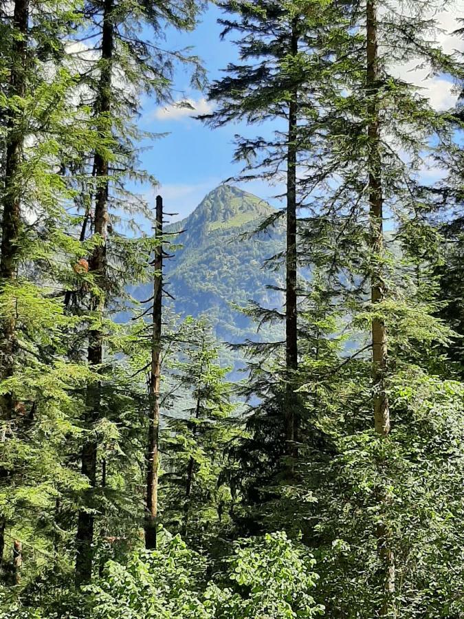 Kalipe Dolomiti Lägenhet Soffranco Exteriör bild